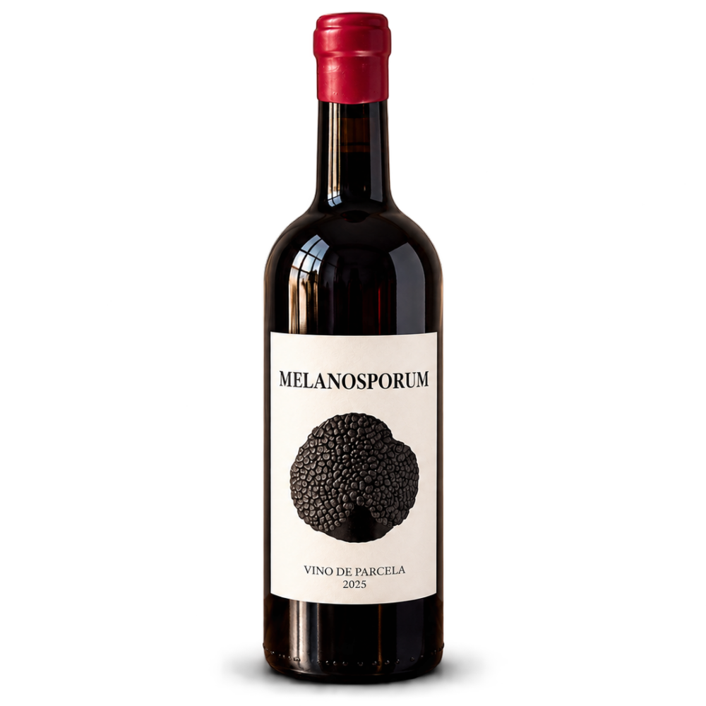 Melanosporum